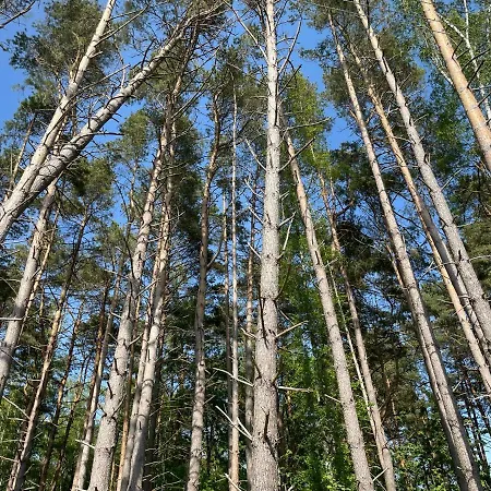 View Z Calorocznym Basenem - Baltic Apartments-sannel For Rent Апартаменты *