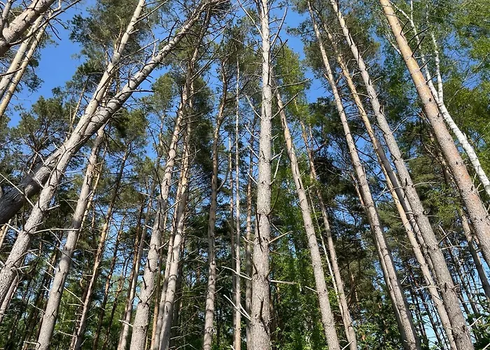 View Z Calorocznym Basenem - Baltic Apartments-sannel For Rent Apartment *